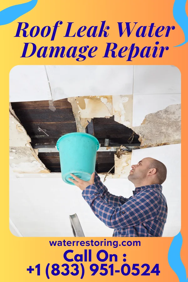 Roof Leak Water Damage Repair in Concord, MI