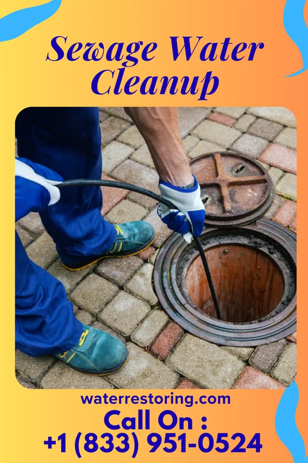 Sewage Water Cleanup in Concord, MI